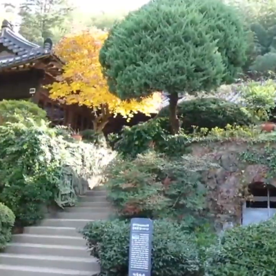 Photo review number 6063 from iamm****@*********